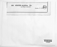 Image Associated With the Occurence